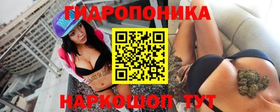 эйфоретик Новозыбков