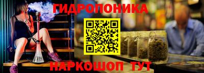эйфоретик Новозыбков