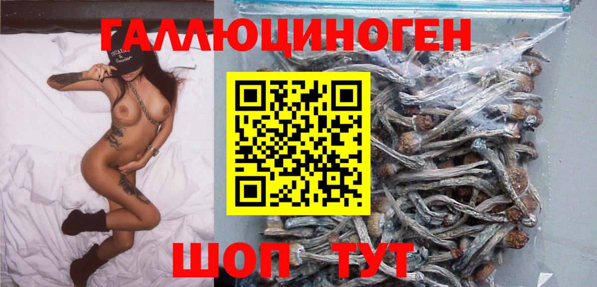 Топки  Псилоцибиновые грибы мухоморы  Вход с VPN 
