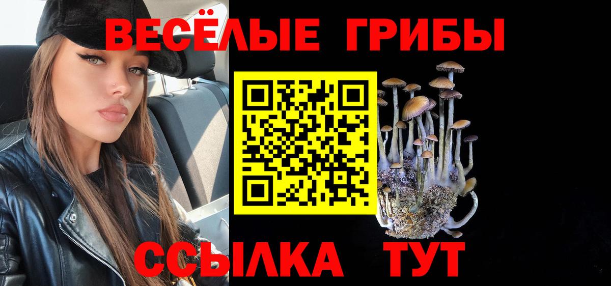Псилоцибиновые грибы MAGIC MUSHROOMS Топки